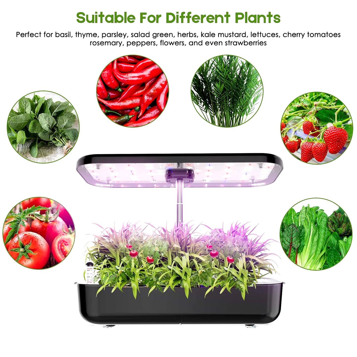 LED Grow Garden 